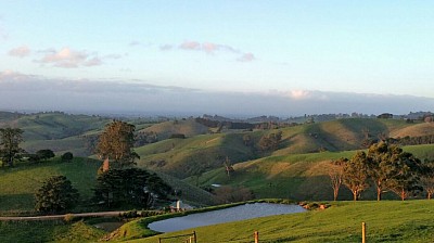 Farm view